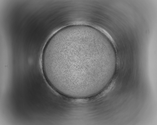 X0000101470847200807281018