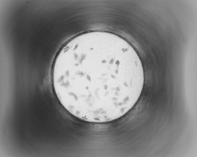 X0000101470848200807281018