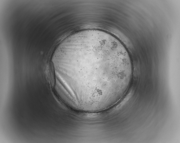 X0000101470849200807281018