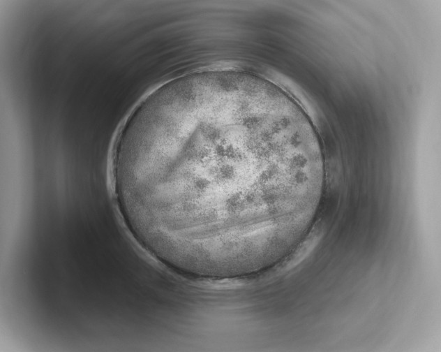 X0000101470851200807281018