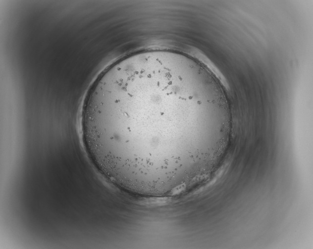 X0000101470853200807281018