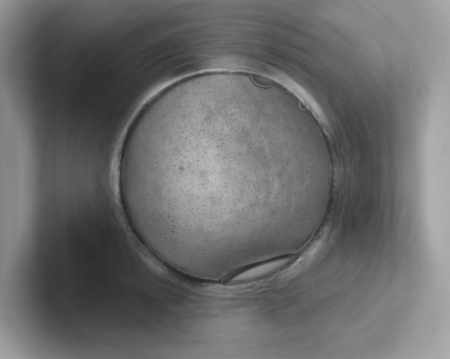 X0000101470854200807281018