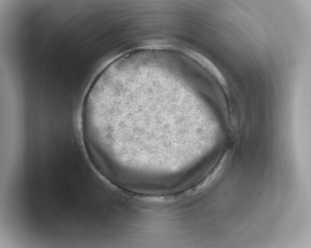 X0000101470855200807281018