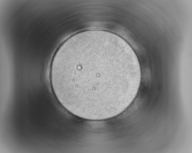 X0000101470856200807281018