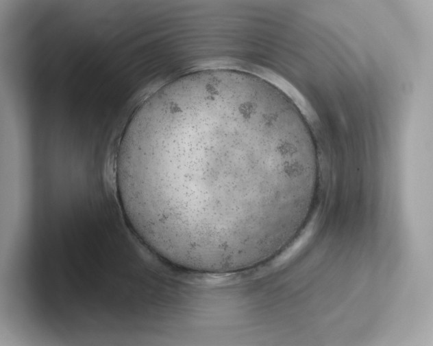 X0000101470857200807281018