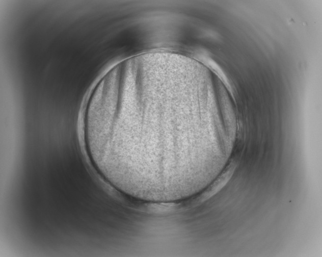 X0000101470859200807281018