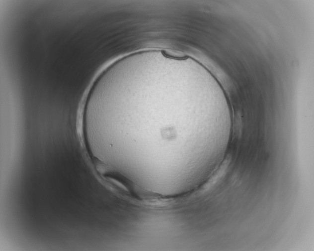 X0000101470862200807281018