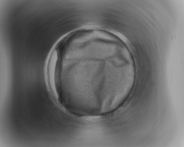 X0000101470864200807281018