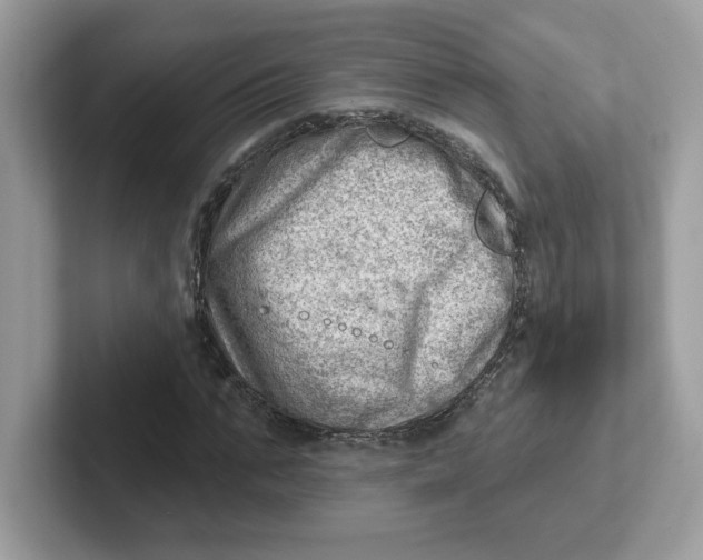 X0000101470871200807281017