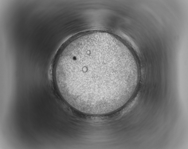 X0000101470875200807281017