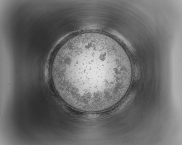 X0000101470878200807281017