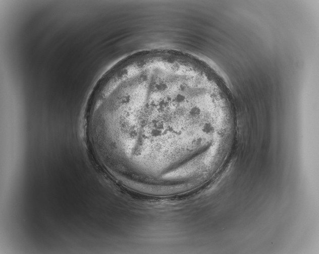 X0000101470879200807281017