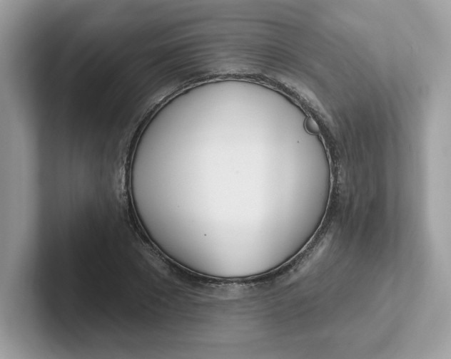 X0000101470881200807281017