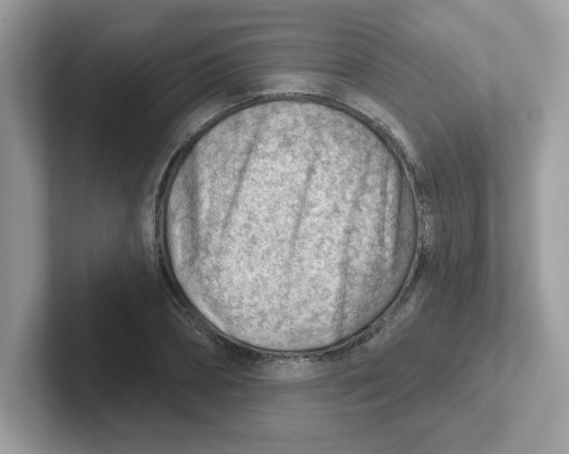 X0000101470882200807281017