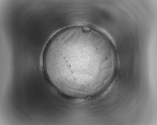 X0000101470883200807281017