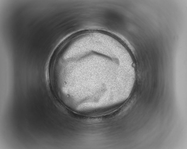 X0000101470887200807281017