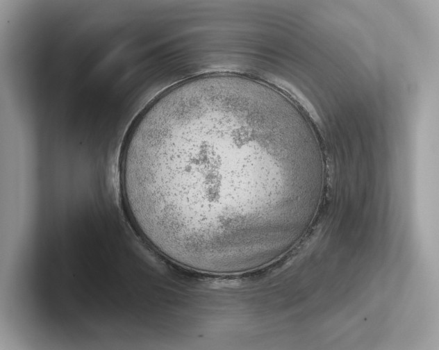 X0000101470890200807281017