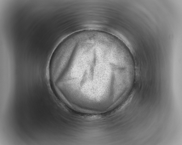 X0000101470891200807281017