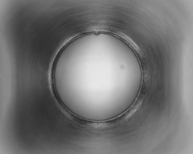 X0000101470893200807281017