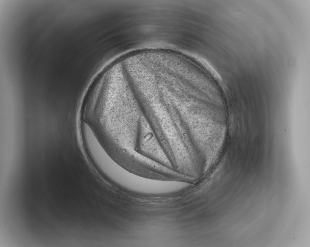 X0000101470895200807281017