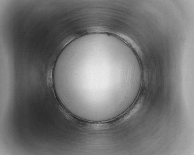 X0000101470897200807281017