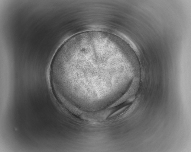 X0000101470899200807281017