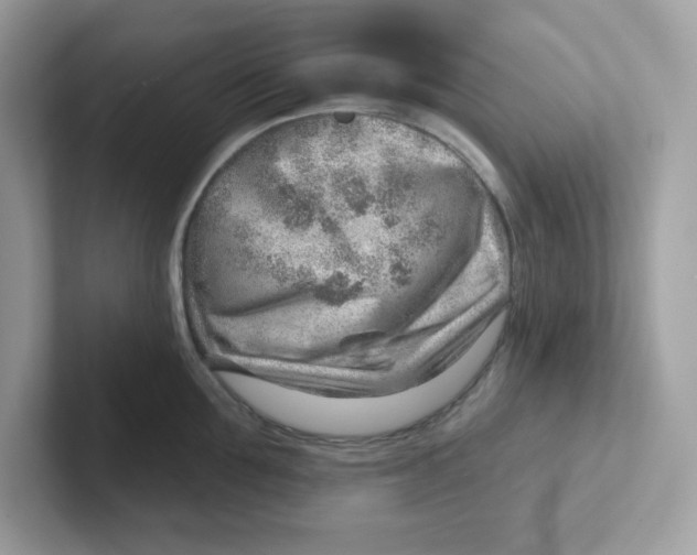 X0000101470907200807281017