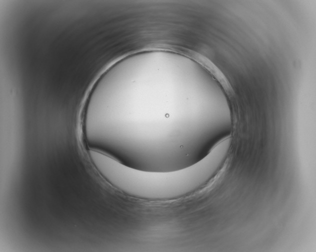 X0000101470908200807281017