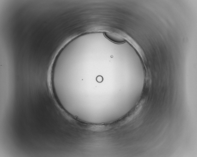 X0000101470909200807281017