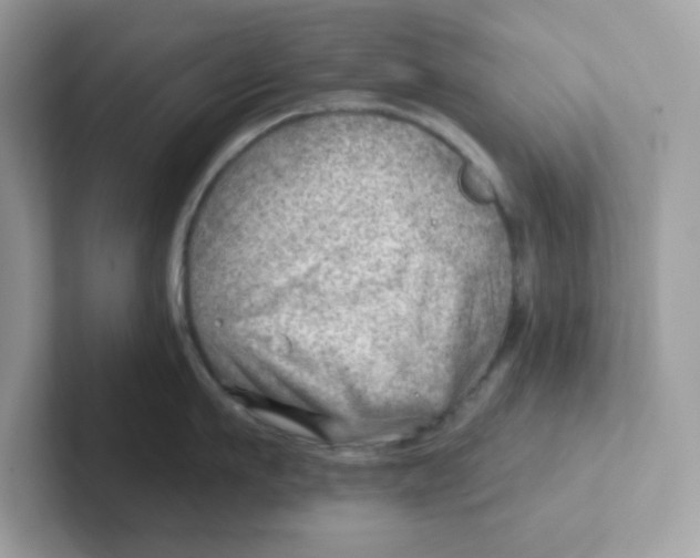 X0000101470911200807281017