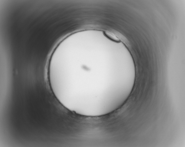 X0000101470912200807281017