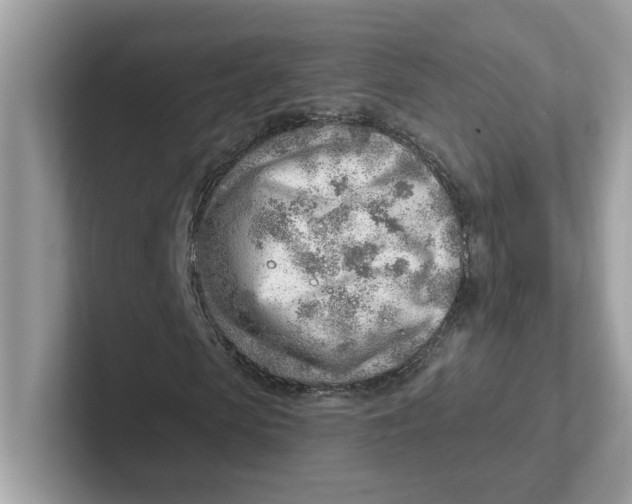 X0000101470913200807281016