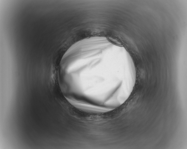 X0000101470914200807281016