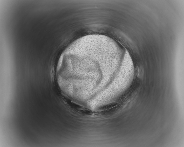 X0000101470915200807281016