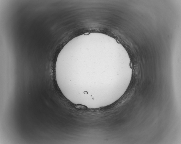 X0000101470916200807281016