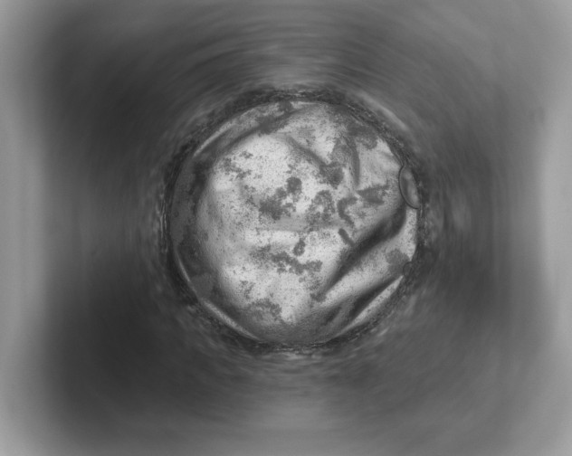 X0000101470917200807281016