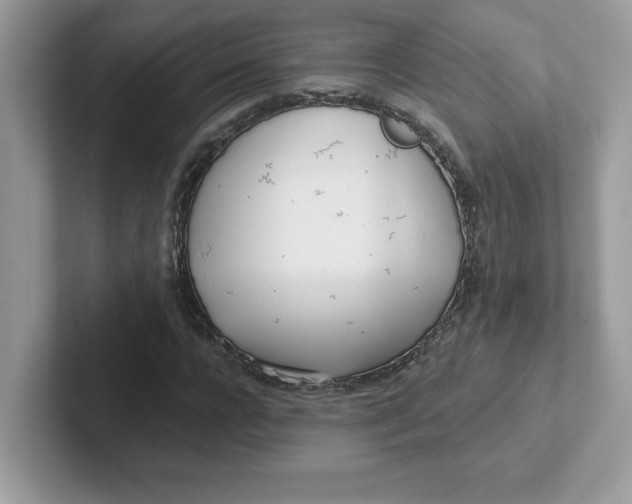 X0000101470920200807281016