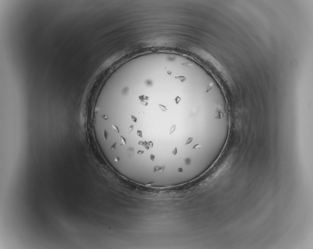 X0000101470922200807281016