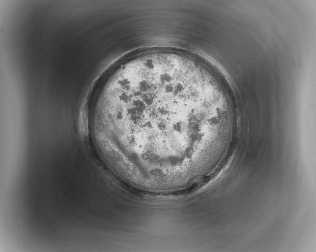 X0000101470925200807281016