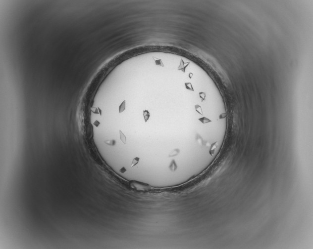 X0000101470926200807281016