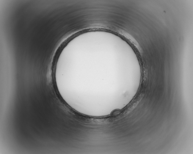 X0000101470928200807281016