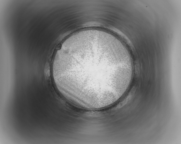 X0000101470929200807281016