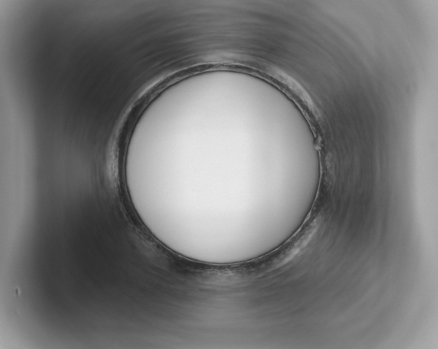 X0000101470931200807281016