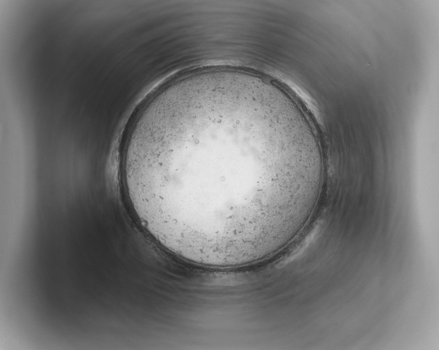 X0000101470933200807281016