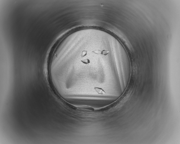 X0000101470935200807281016