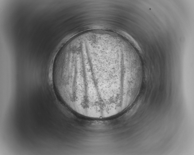 X0000101470938200807281016