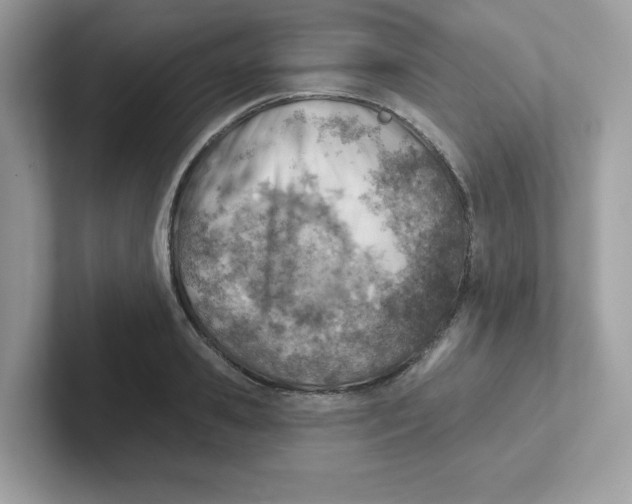 X0000101470941200807281016