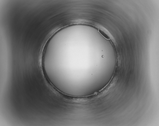 X0000101470946200807281017