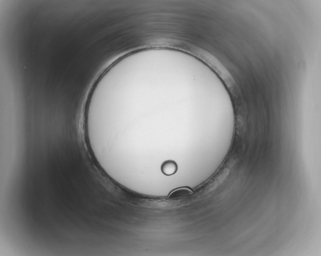 X0000101470948200807281017