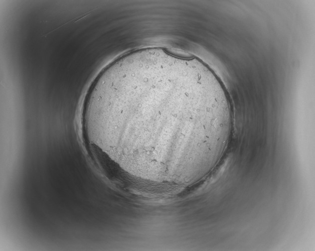 X0000101470949200807281017